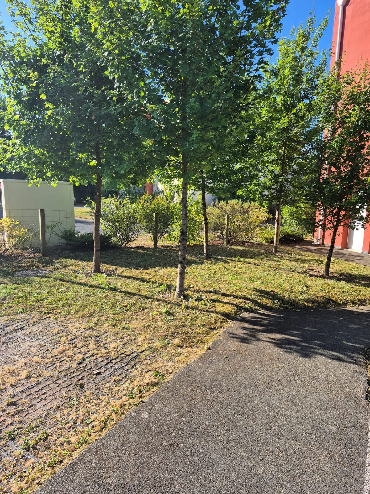Après chantier : arbres plantés, clôture et terrain engazonné