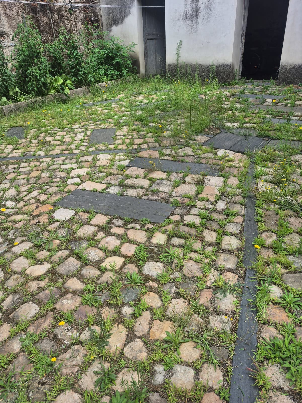 Avant chantier : dalle, carrés de pierre, herbe moussue