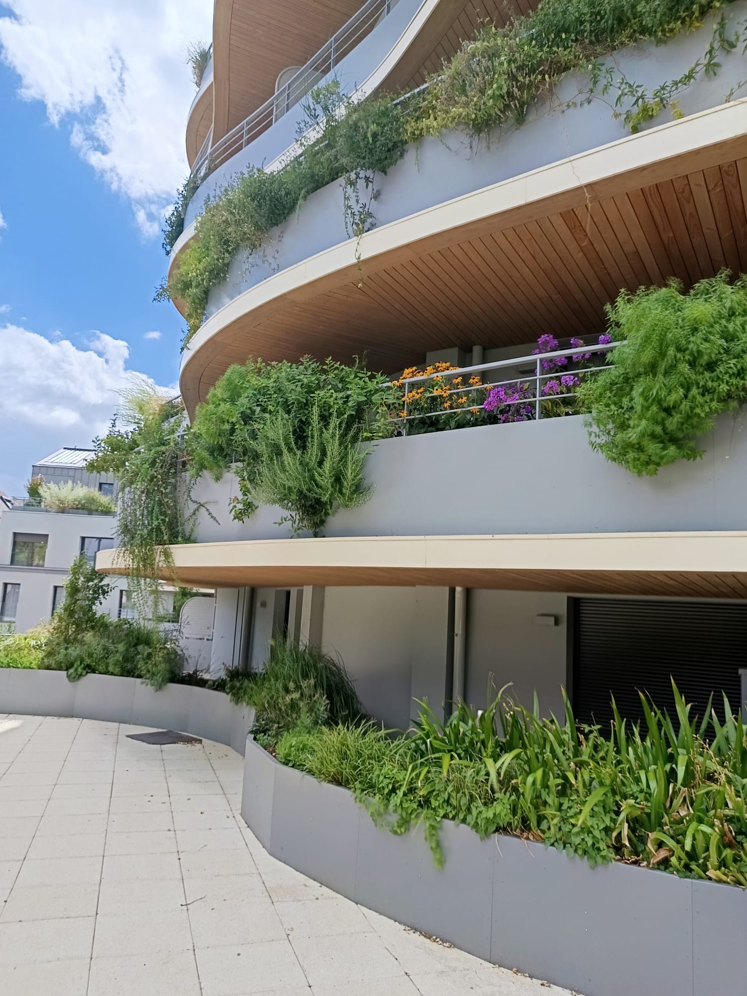 Aménagement paysager et entretien des espaces verts pour entreprises et zones commerciales en Maine-et-Loire